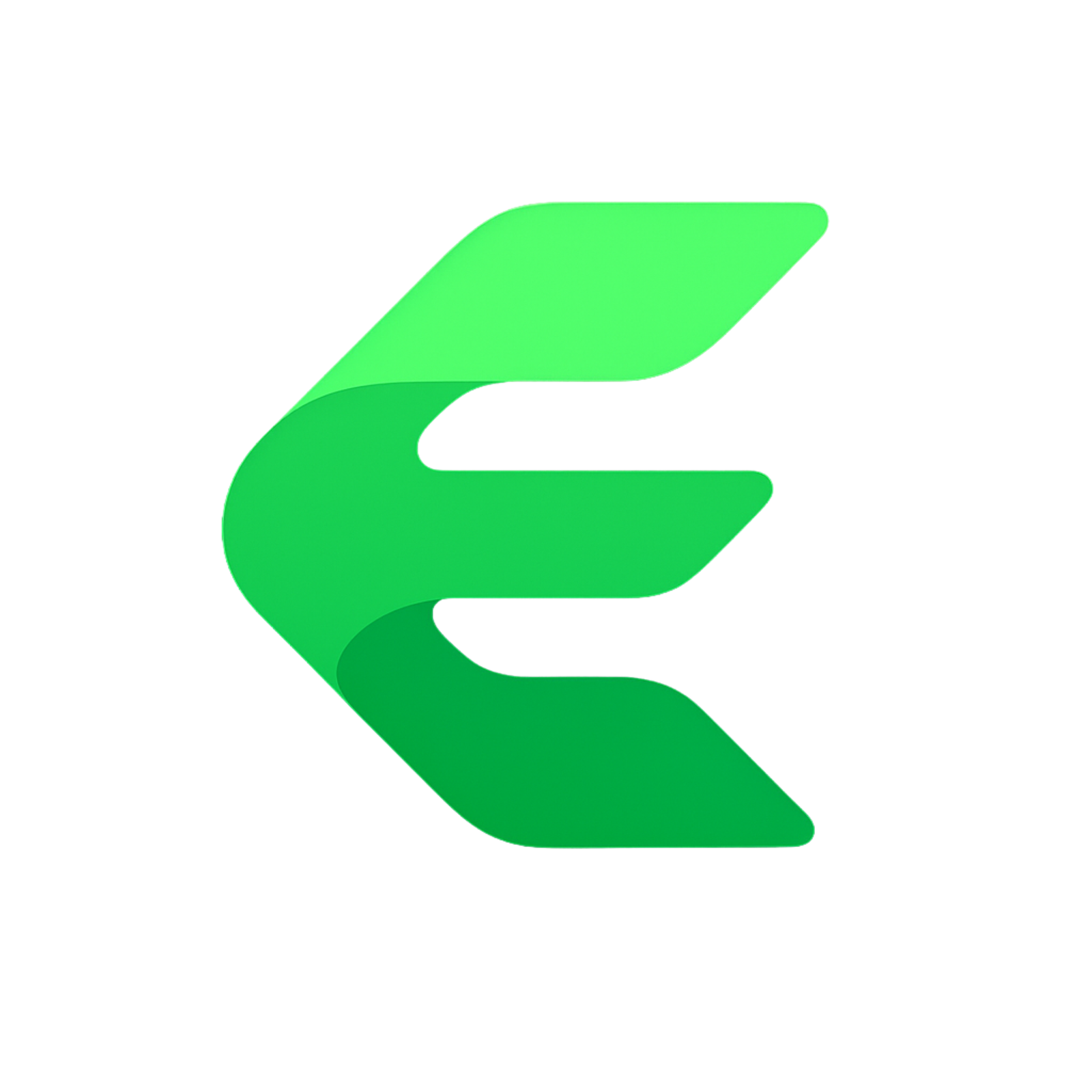 Enxora Logo